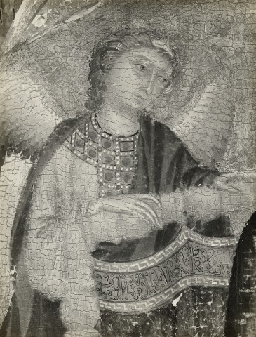 Anonimo — Cenni di Pepo (Cimabue) - e aiuti - sec. XIII-XIV - angelo — particolare
